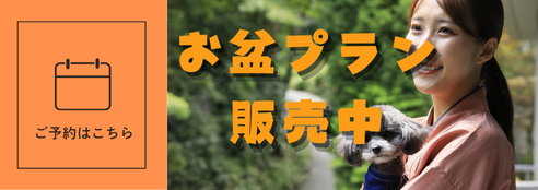フォトギャラリー